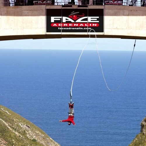 Bloukrans Bungy