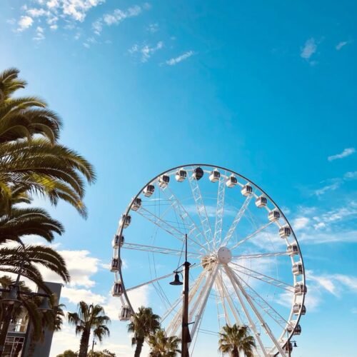 Cape Wheel