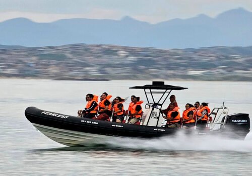 Fearless Speedboat