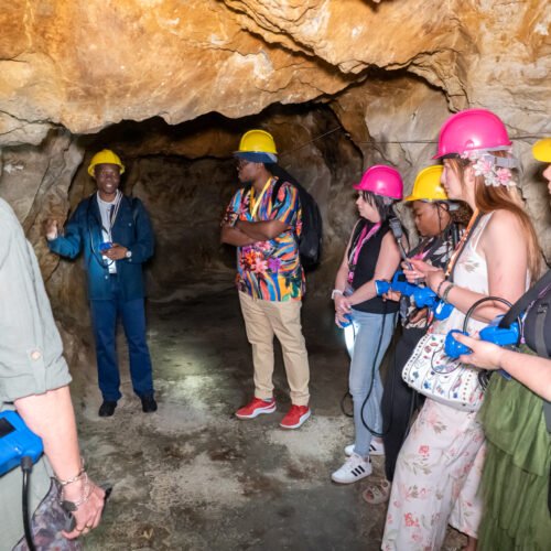 Gold Mining Tour