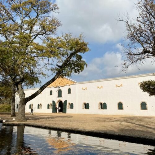 Groot Constantia cellar our visitor experience