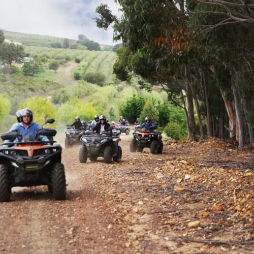 Hermanus quad biking – SA Adventures