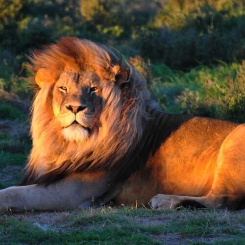 Jukani wildlife park