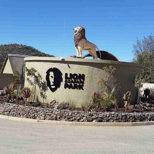 Lion Safari Park