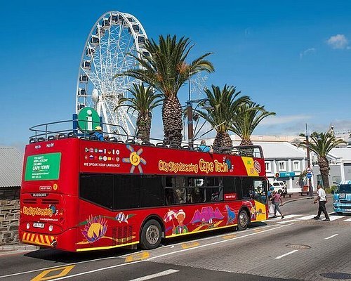 Red Bus Hop on hop off 1 day ticket
