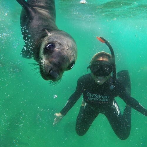 Snorkeling