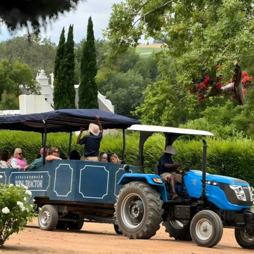 Stellenbosch tractor tour