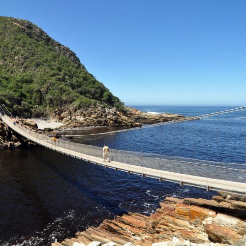 Tsitsikamma Canopy tour