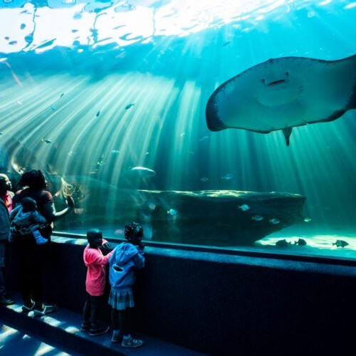 Two Oceans Aquariam