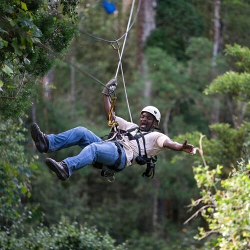 Zipline Zone